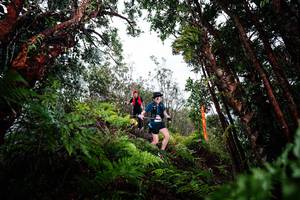 BIB: 
                            <button type="button" onclick="openModal(26203550)" class="btn btn-primary btn-sm float-right btn-popup" data-toggle="modal" data-target=".modal-high-quality">
                        <i class="fas fa-shopping-cart"></i> Add to Cart
                    </button>
                                            <button type="button" onclick="isThisMe(26203550, true)" class="btn btn-success btn-sm float-right btn-popup btn-isme hidden" data-toggle="tooltip" data-placement="bottom" title="นี่คือรูปของคุณใช่ไหม คลิกที่นี่เพื่อเอาเข้าอัลบั้ม">
                        <i class="fas fa-plus"></i> Add to album
                    </button>
                    <button type="button" onclick="isThisMe(26203550, false)" class="btn btn-warning btn-sm float-right btn-popup btn-isnotme hidden">
                        <i class="fas fa-ban"></i> Remove from album
                    </button>